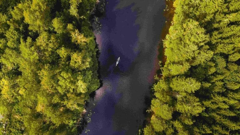 Paysage lors d'un voyage en suède