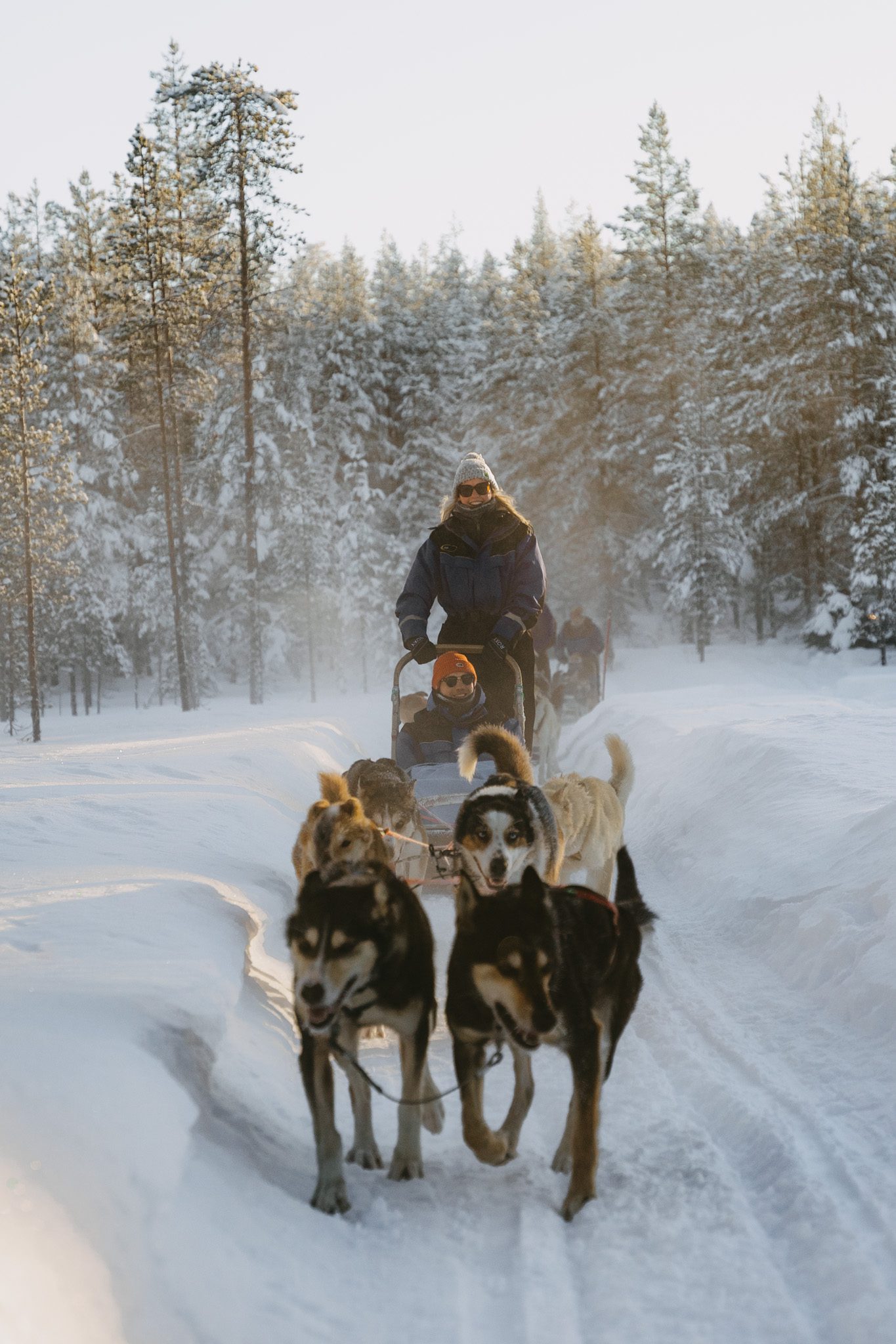 fins lapland