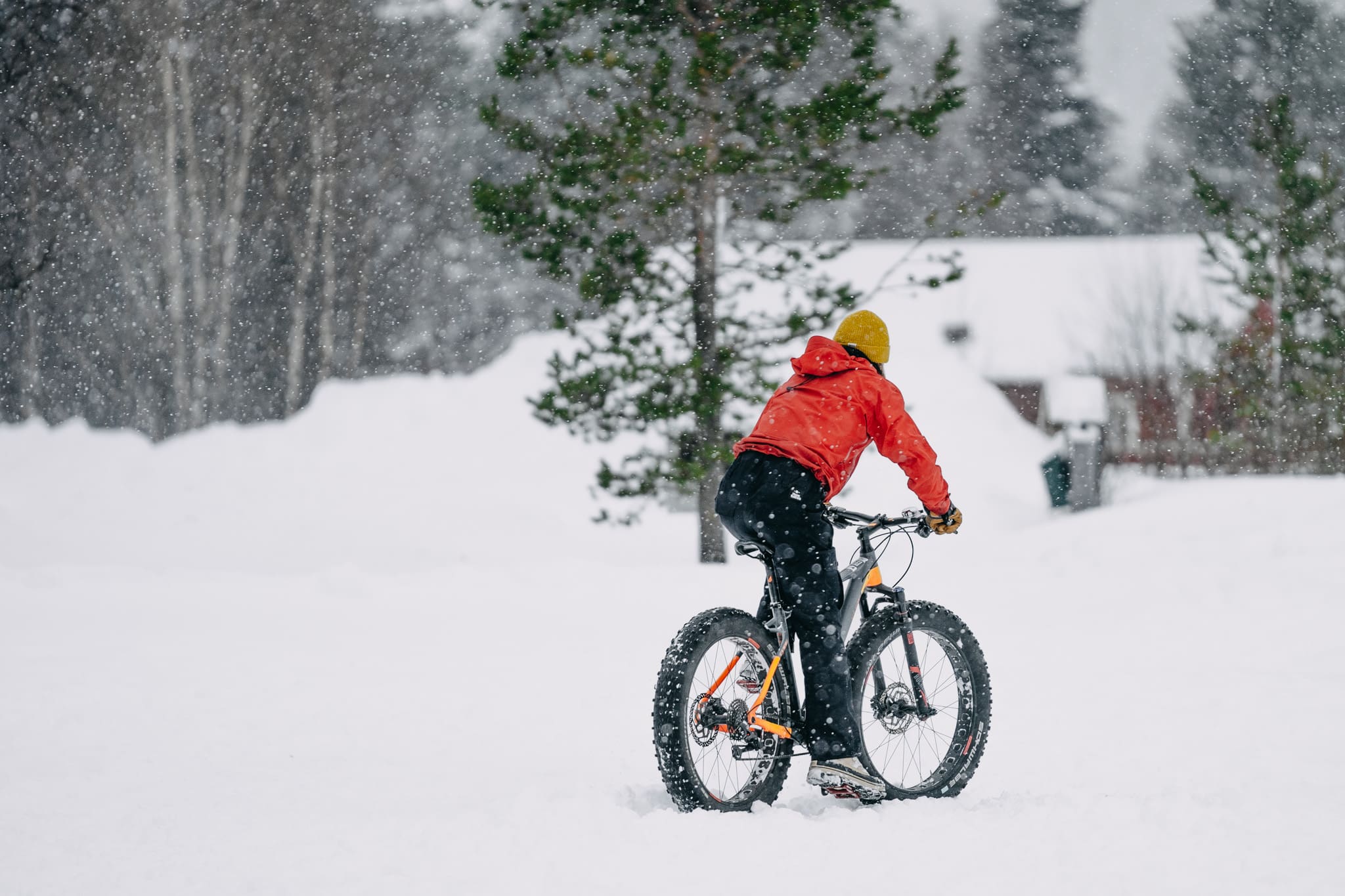 10 activiteiten in Lapland die je écht moet doen