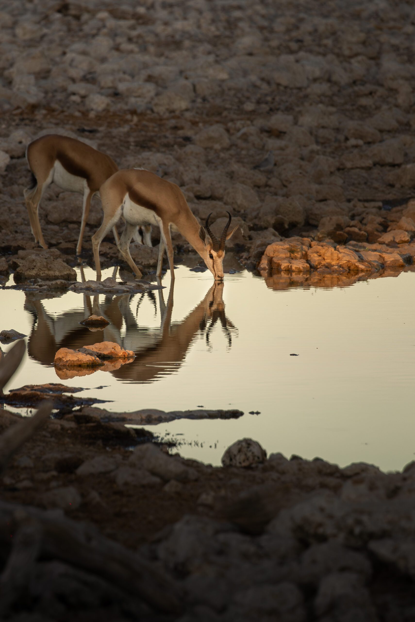 Wat is beste reistijd voor Namibië?