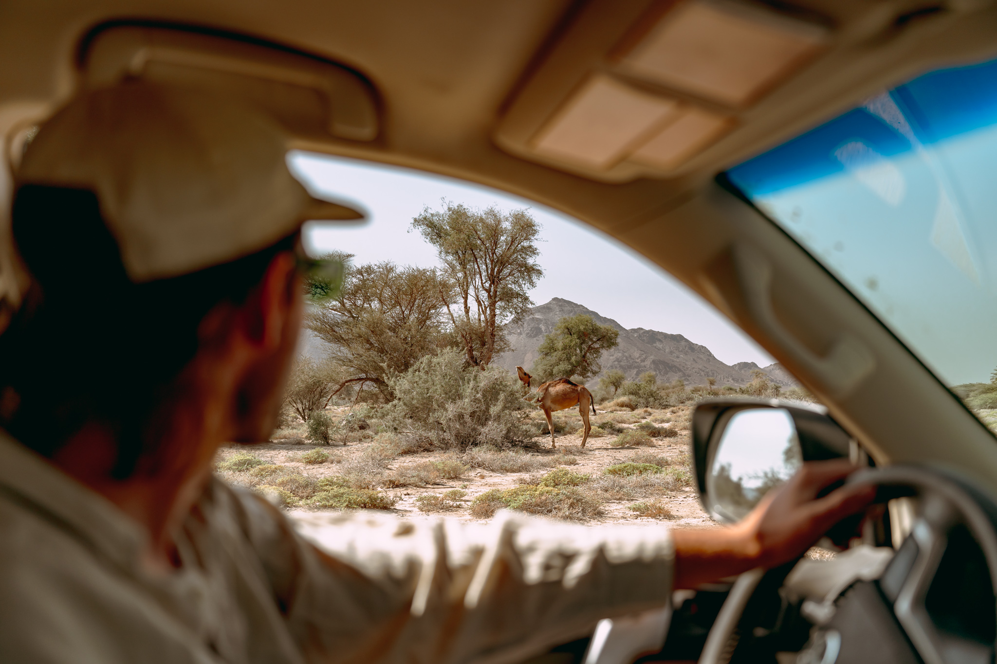 Dit zijn de must visits op je route in Oman