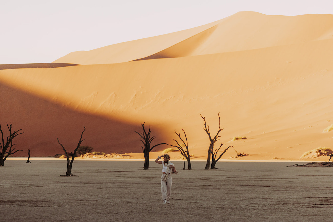 Paysage lors d'un voyage en Namibie