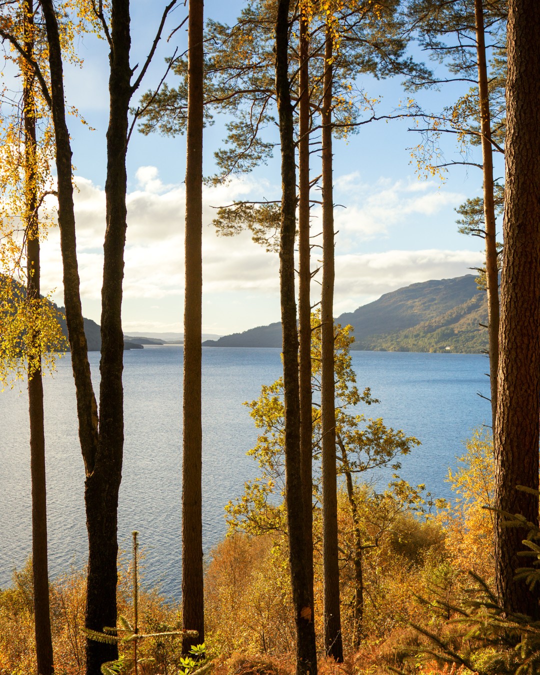 Loch Lomond écosse