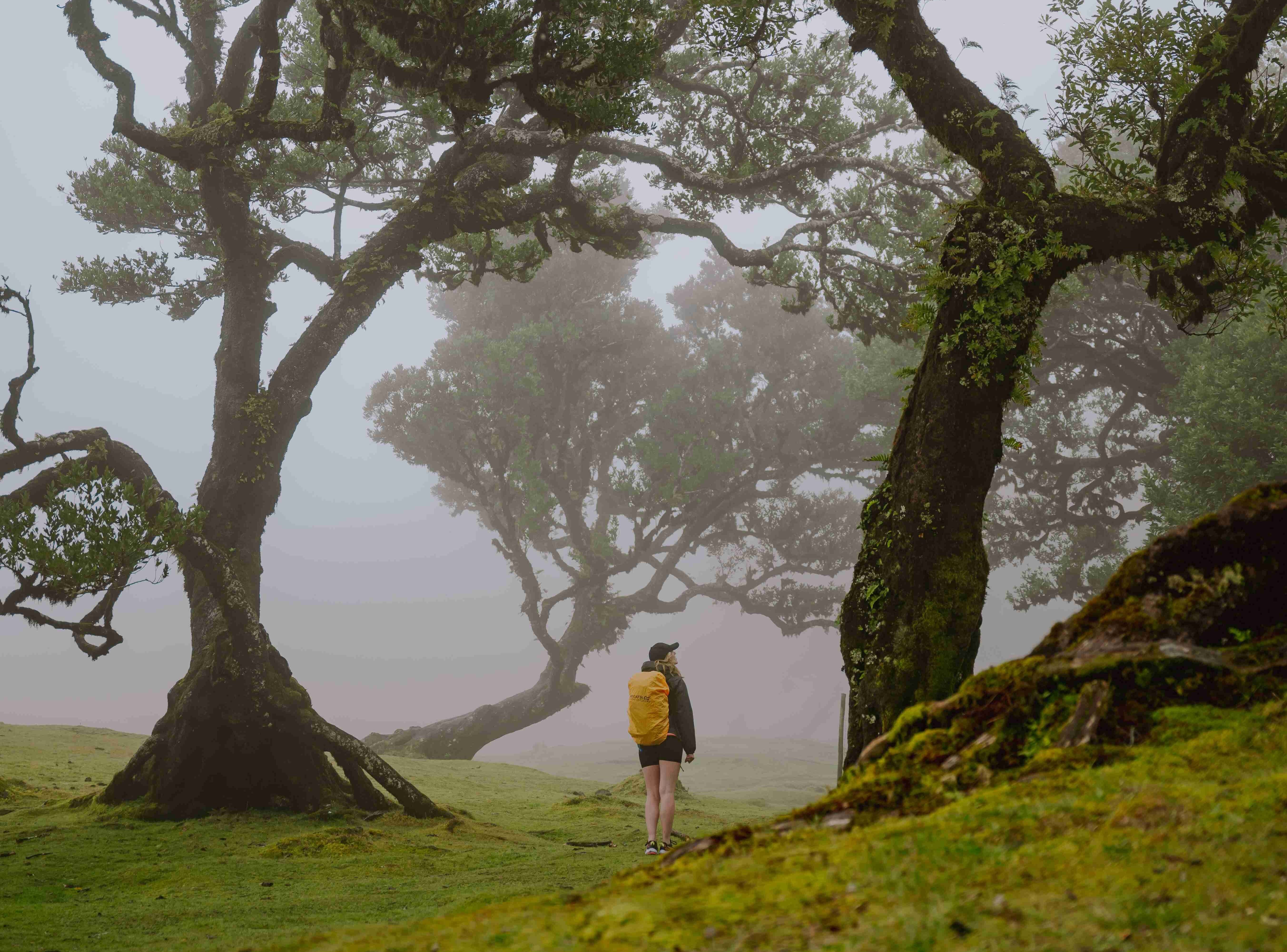 randonneuse dans le brouillard Madère Portugal