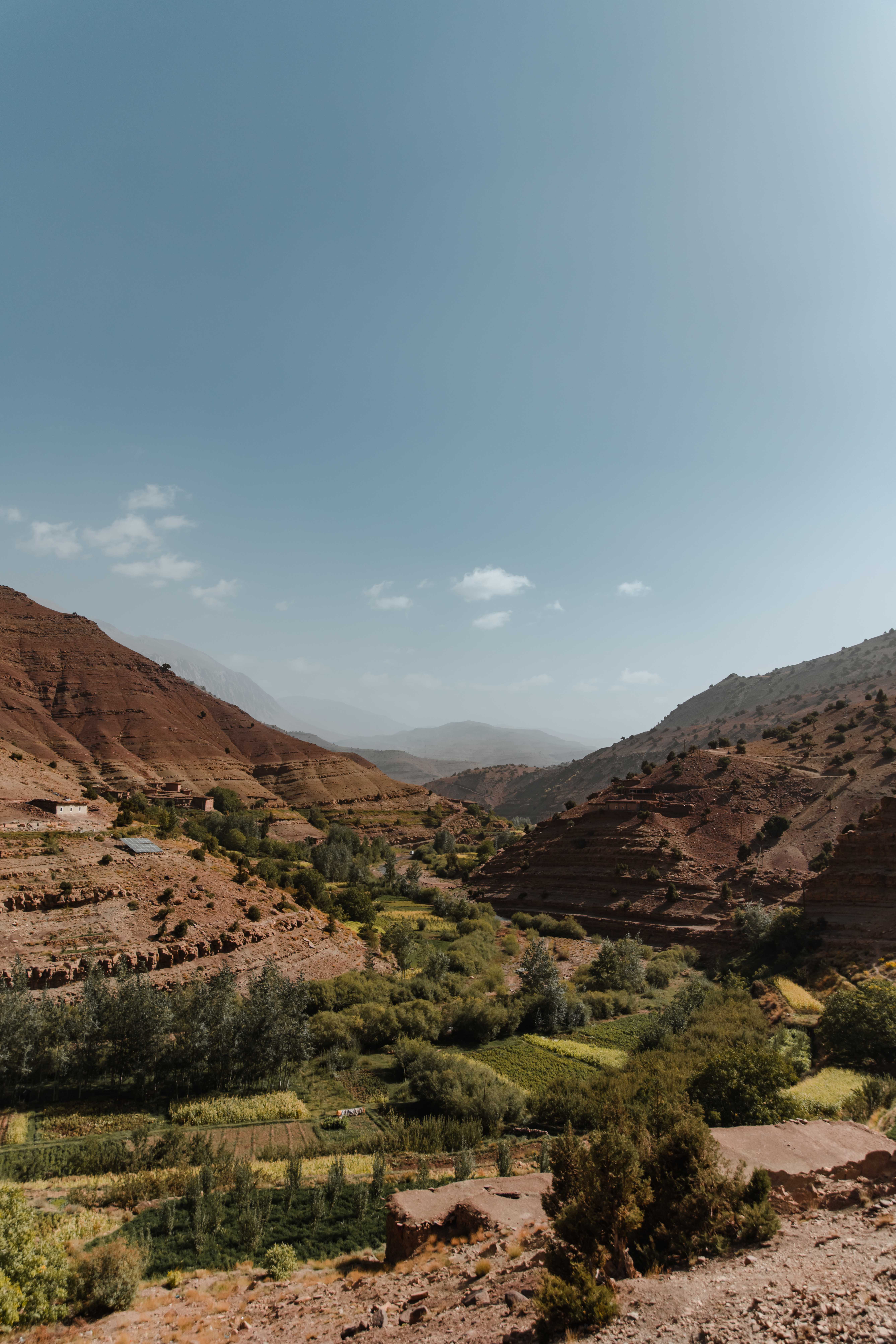 verdure dans l'atlas marocain
