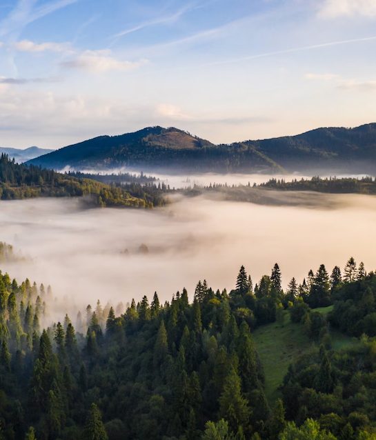 Trek dans les Vosges avec Travelbase