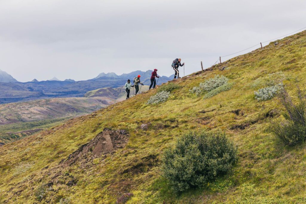 Groepsrijs IJslands - Huttentocht - Laugavegur Trail - Hiking IJsland