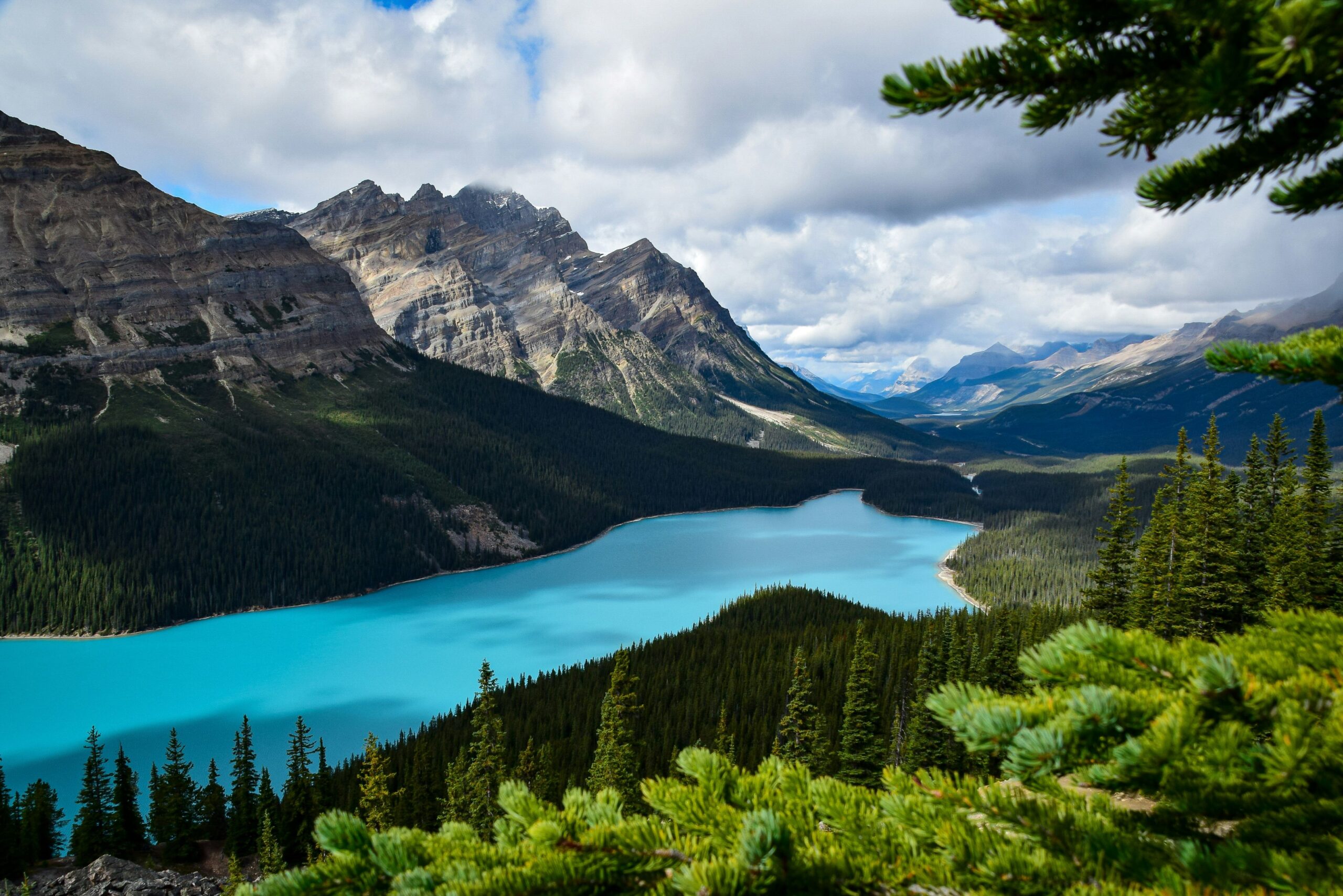 Vue sur Peyto Lake lors d'un voyage au Canada