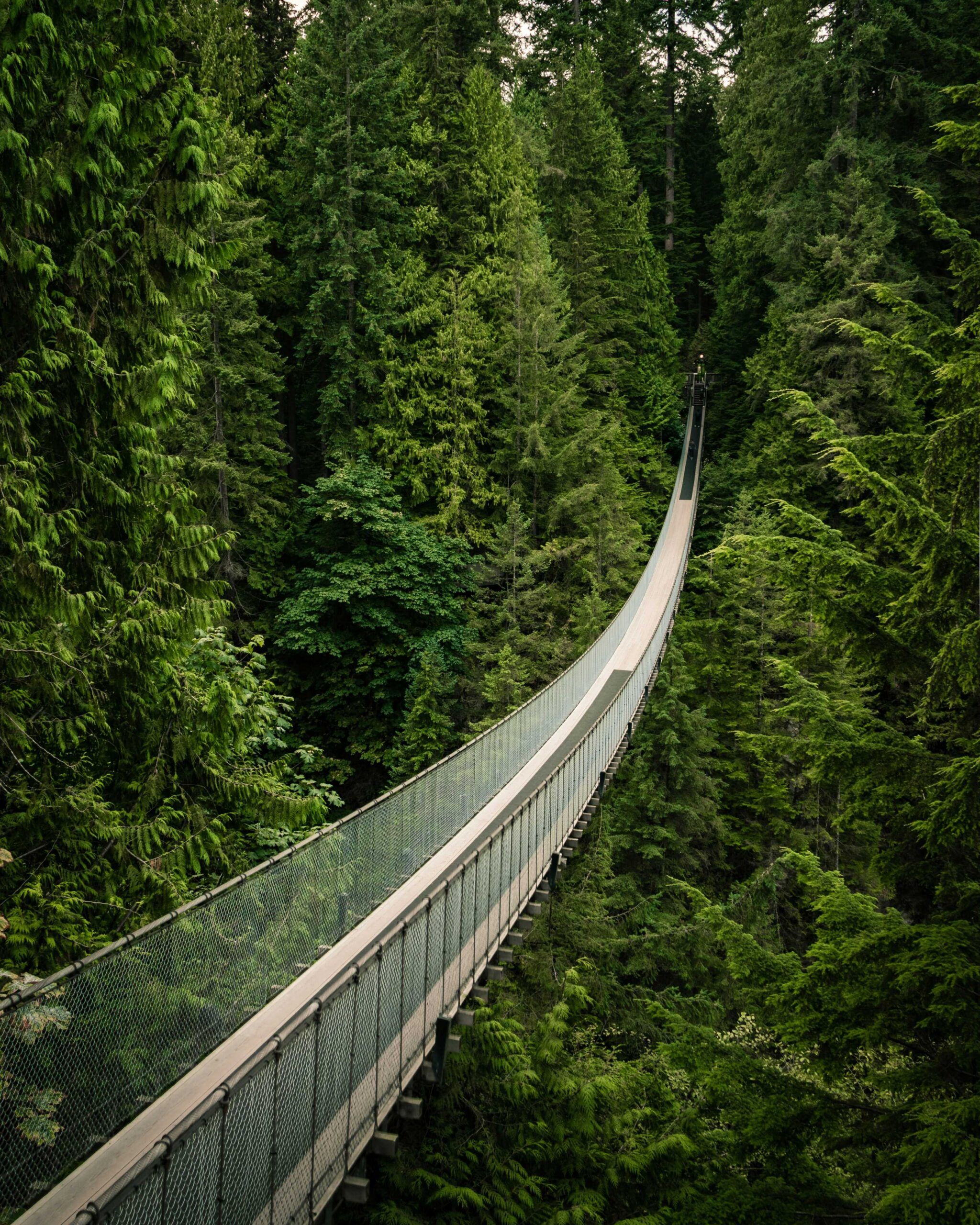 Pont suspendu forêt voyage au Canada à Vancouver