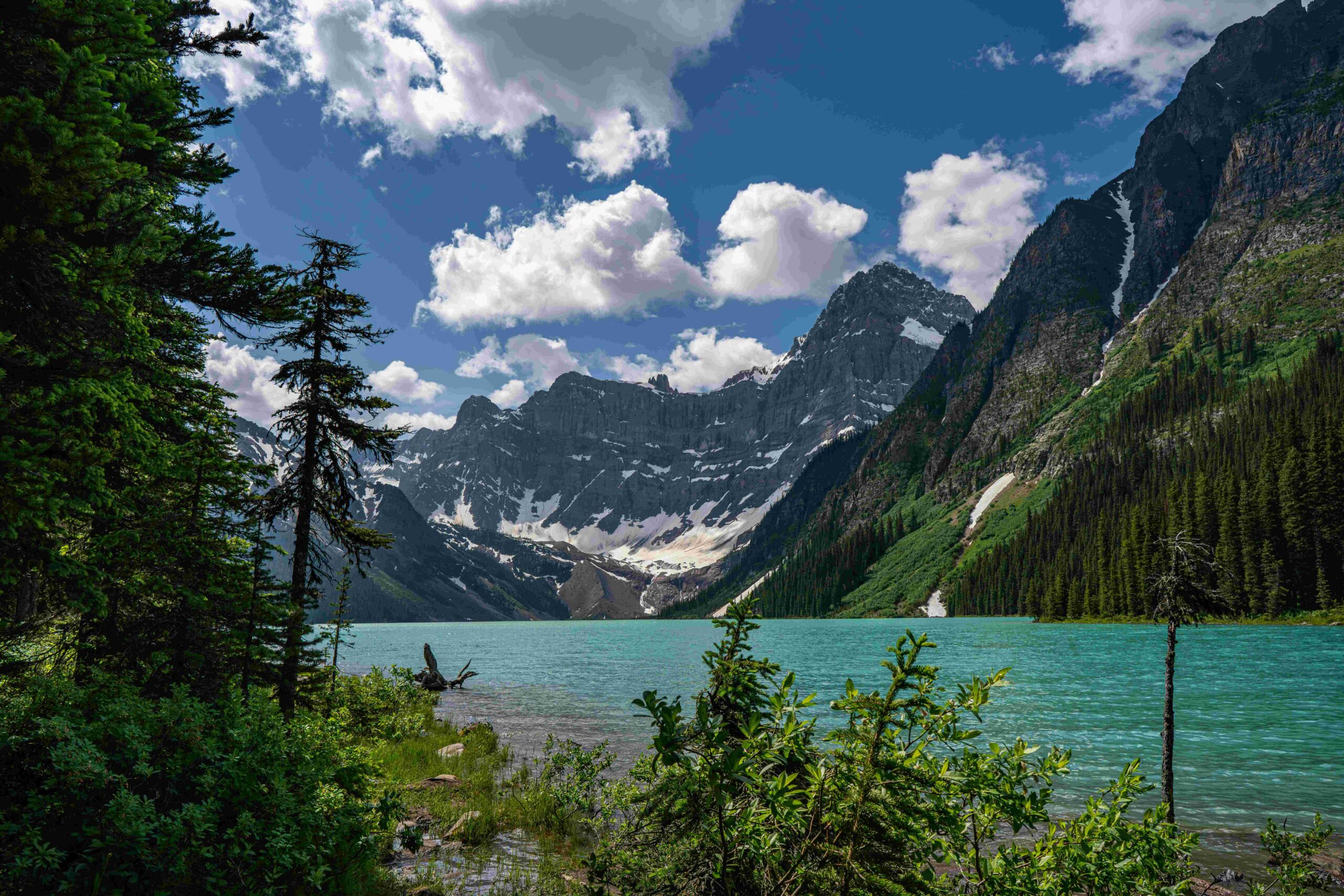 Lac turquoise entouré de montagne et de sapins au Canada